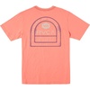 Vintage Salmon (Tract)