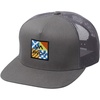 Va Atw Rvca Print | Charcoal