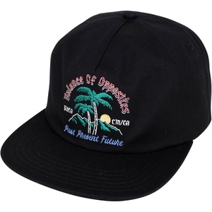 image:imageRVCA Frond Mural Snapback Black